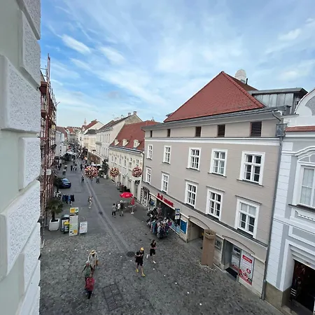 Hagmann's Altstadt 1 多瑙河畔克雷姆斯